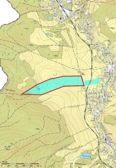 K prodeji pozemek trvalý travní porost v obci Mikulášovice.