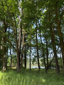 Prodám pozemky v katastrálním území Stará Hlína