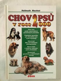 Chov psů v roce 2000.