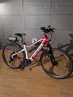 kolo Crussis 9.5 cross