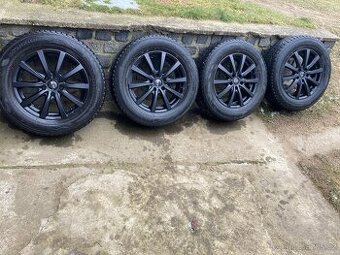 Kola Platinum P 69 Full Black