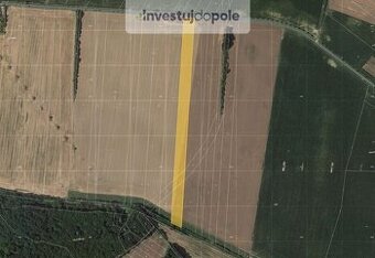 Prodej pole v k.ú. Nová Telib - 1