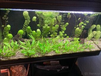 Akvárium 200 l / PRODÁNO