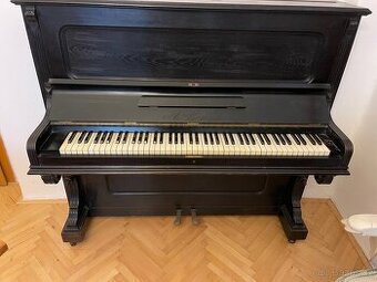 Piano A Proksch