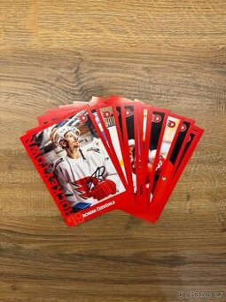 Podepsané hokejové karty