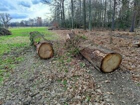 PRODÁM - DUBOVÁ KULATINA