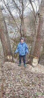 Prodej dřeva z vlastního lesa