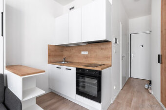 Pronájem bytu 1+kk, Plzeňská, Smíchov,  21 m2