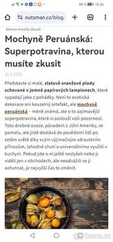 Mochyně Peruánská