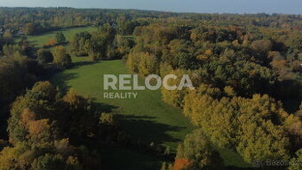 Pronájem rozlehlé louky, Ježdíkova skála, 27014m2, Těptín, P - 1