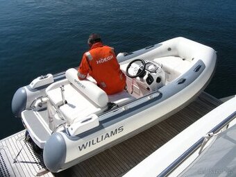 WILLIAMS SPORT JET 345