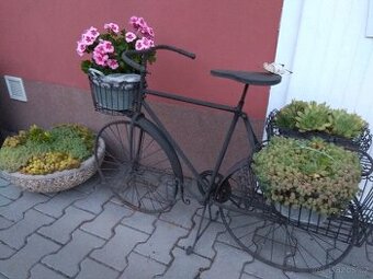 Kolo