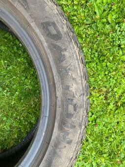 Zimní kola Dayton 185/55 R15