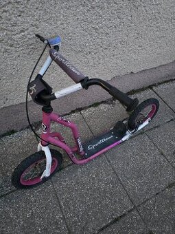 Dětská koloběžka Delta Sportteam