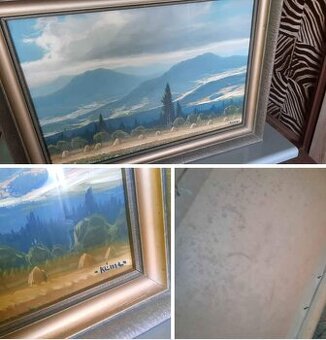 Starý obraz   (malba, podpis malíř Klíma)