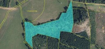 Prodám lesní pozemky v k.ú. Bukovina u Čisté.