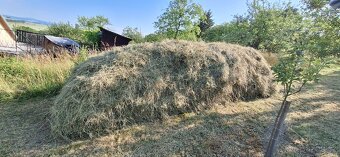 SENO - ZADARMO