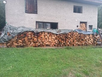 Prodám suché dřevo