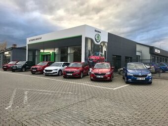 Karosář / Automechanik