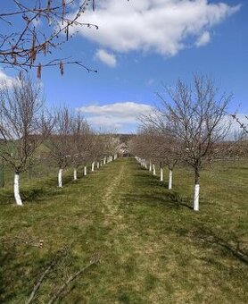 Stavební pozemek Uherský Brod