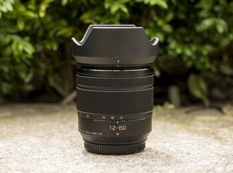Panasonic Lumix 12-60mm f/3.5-5.6