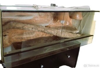 Terárium 100x40x40 cm a odchovnu se švábi