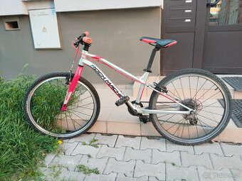 Kolo Rock Machine Thunder 24