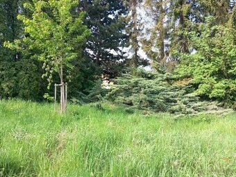 Prodej pozemku 308 m² - Blansko - Těchov