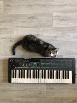 KORG POLY - 800