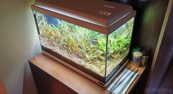 Akvárium 40 litrů