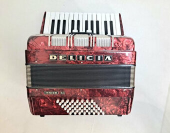Akordeon Delicia Junior