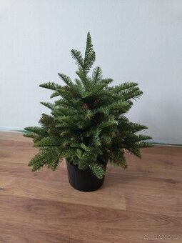Umělý vánoční stromeček - 60cm