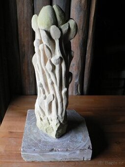 Socha - kamenný květ