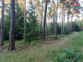 Prodej lesa, 59400 m², Štichov - 1