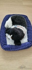 Dýchací pejsek Perfect Petzzz
