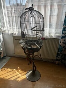 KLEC NA STOJANU