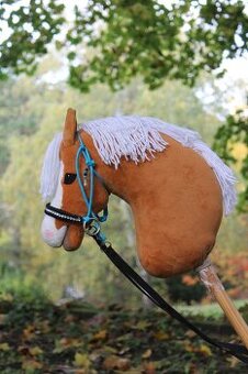 Hobby horse Ovega - 1