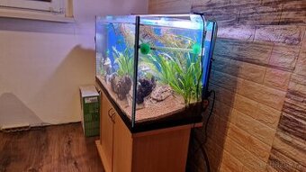 Prodám akvárium se skřínkou a vybavením 140L