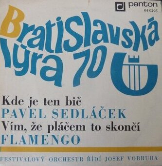 Flamengo – Vím, že pláčem to skončí (SP)