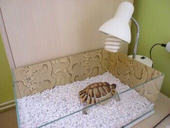 Terárium 45 x 30 x 17cm - ZÁNOVNÍ