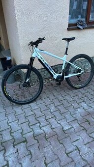 Rock Machine Torrent