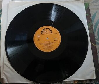 2kusy Zlatá Zebra LP