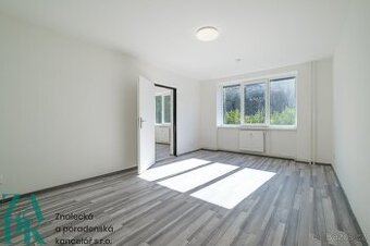 Pronájem bytu 1+1, Střekov, Ústí nad Labem, ev.č. 01071