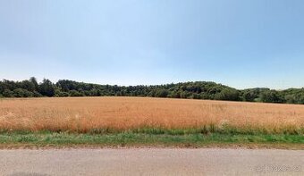 Zemědělská půda, prodej, Otinoves, Prostějov