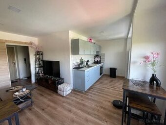 Pronájem 1+1, 39m2 čerstvě po rekonstrukci, bez provize