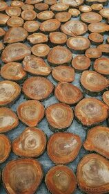 Třešňové dřevo - 1
