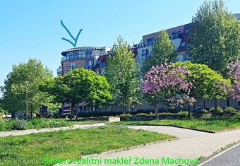 Pronájem velkého bytu s terasou, 2x park,stání, 2x sklep
