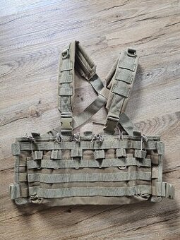 Chestrig coyote - 1
