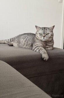 Daruji do dobrých rukou