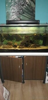 Akvarium